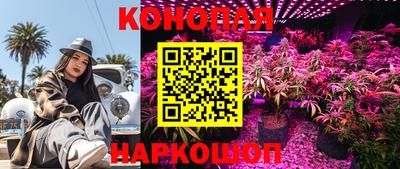 каннабис Камышлов