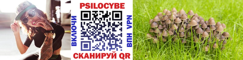 Псилоцибиновые грибы мухоморы  наркотики  Сальск 
