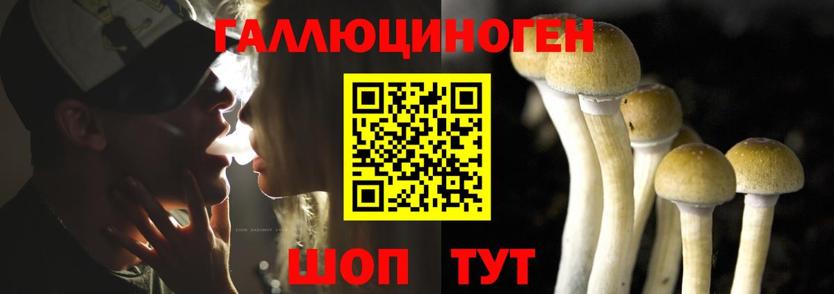 Сальск  Псилоцибиновые грибы MAGIC MUSHROOMS  Вход с VPN 